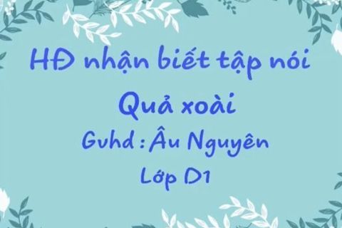 HĐ nhận biết: Quả Xoài cùng Cô giáo Âu Nguyên lớp NT D1