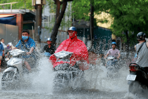 Chủ động, sẵn sàng ứng phó với áp thấp nhiệt đới