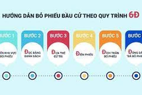 Quy trình bỏ phiếu bầu cử đại biểu Quốc hội và HĐND các cấp
