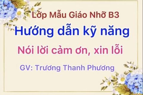 HD kỹ năng: Biết nói cảm ơn, xin lỗi cùng Cô giáo Thanh Phương lớp MGNB3