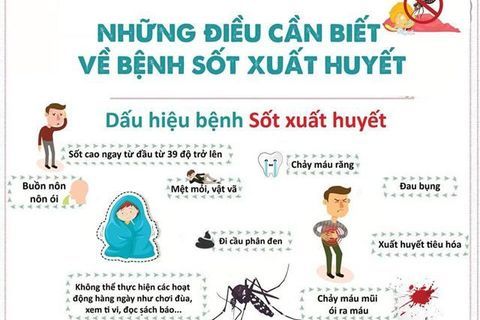 Những lưu ý quan trọng từ các chuyên gia y tế trong mùa dịch sốt xuất huyết