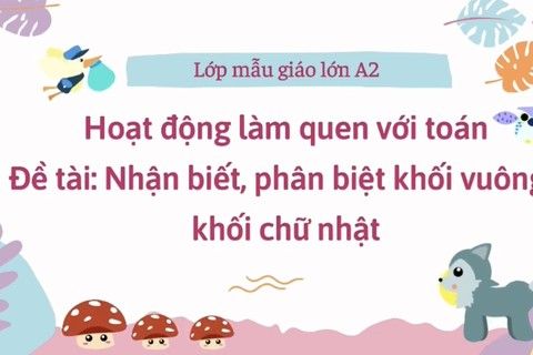 LQVT: Nhận biết, phân biệt khối vuông và khối chữ nhật cùng cô giáo Hồng Loan lớp MGL A2