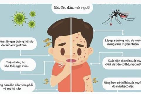 Phân biệt COVID-19 và sốt xuất huyết