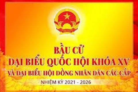 Người tham gia bầu cử cần lưu ý gì ?