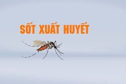 Nguy cơ bùng phát dịch sốt xuất huyết ở Hà Nội