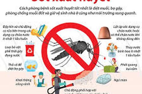Dịch sốt xuất huyết sắp đạt đến đỉnh dịch