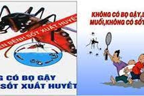 Không có bọ gậy, không có sốt xuất huyết