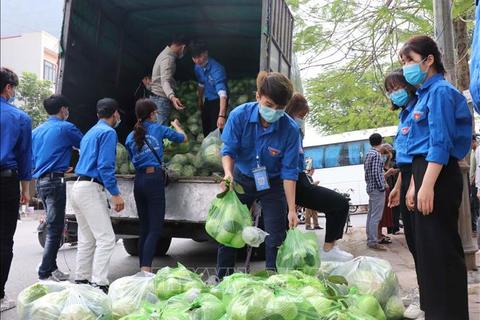 Nhân dân, cán bộ quận Ba Đình chủ động hỗ trợ tiêu thụ nông sản cho bà con nông dân