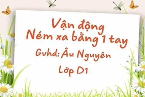 PTVĐ: Ném xa bằng 1 tay. Cô giáo Âu Nguyên lớp Nhà trẻ D1