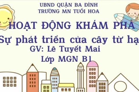 HĐKP: Sự phát triển của cây từ hạt. Cô giáo Tuyết Mai lớp MGN B1