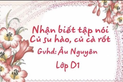 HĐ nhận biết: Củ su hào, củ cà rốt. Cô giáo Âu Nguyên lớp Nhà trẻ D1