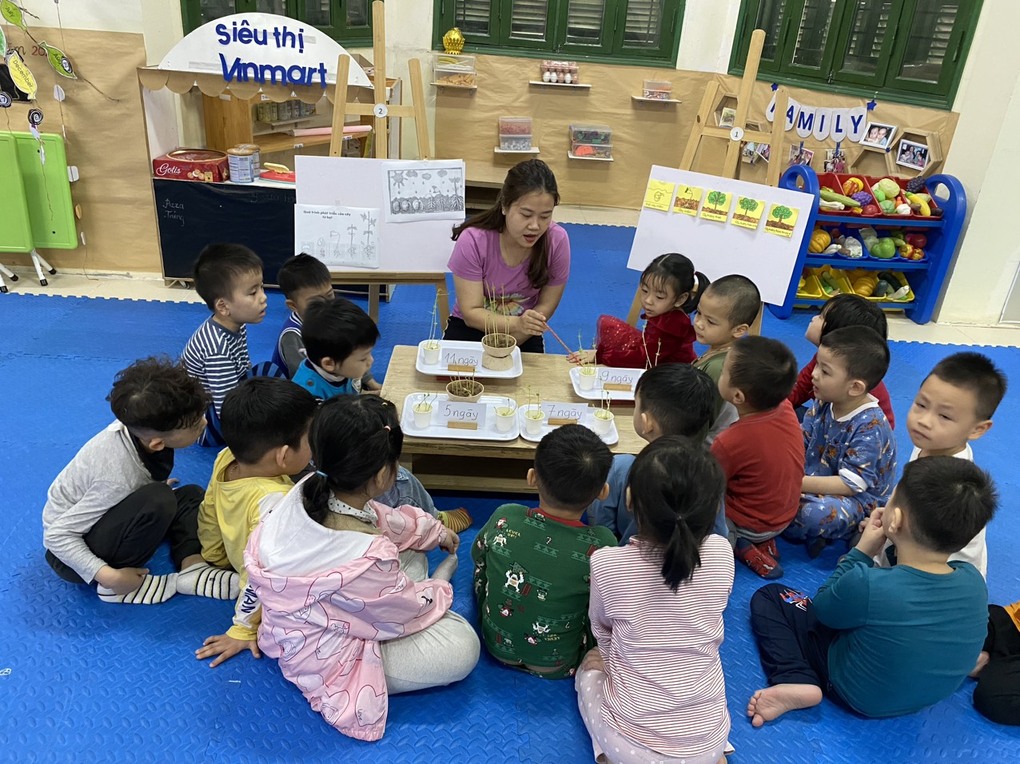 Khám phá sự phát triển của cây từ hạt của các bé lớp mẫu giáo nhỡ B2- trường mầm non Tuổi Hoa!