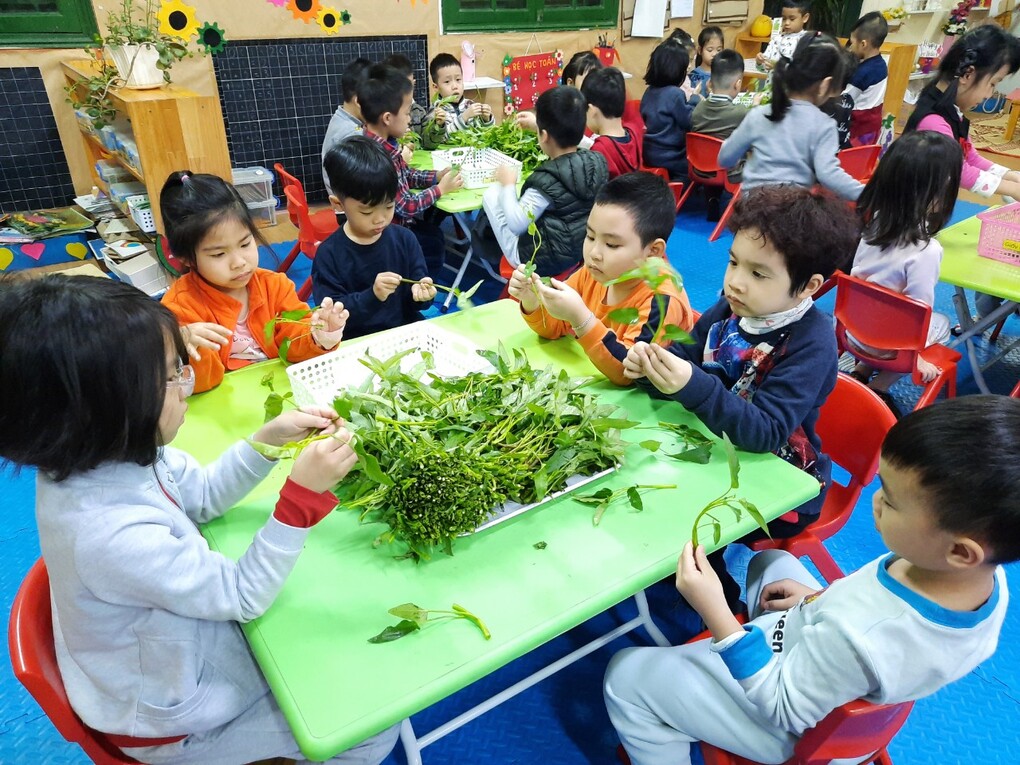 Bé làm nội trợ " Kỹ năng nhặt rau muống " lớp MGL A1