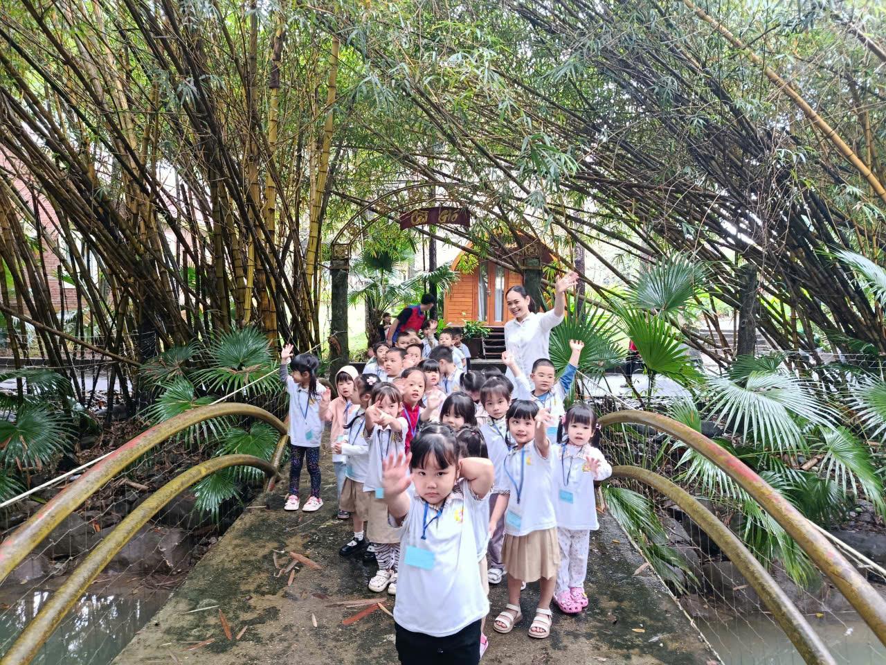 🌿 Chuyến tham quan dã ngoại Erahouse Hoàng Loang – Một ngày trải nghiệm đáng nhớ của các bé lớp B3 🌿