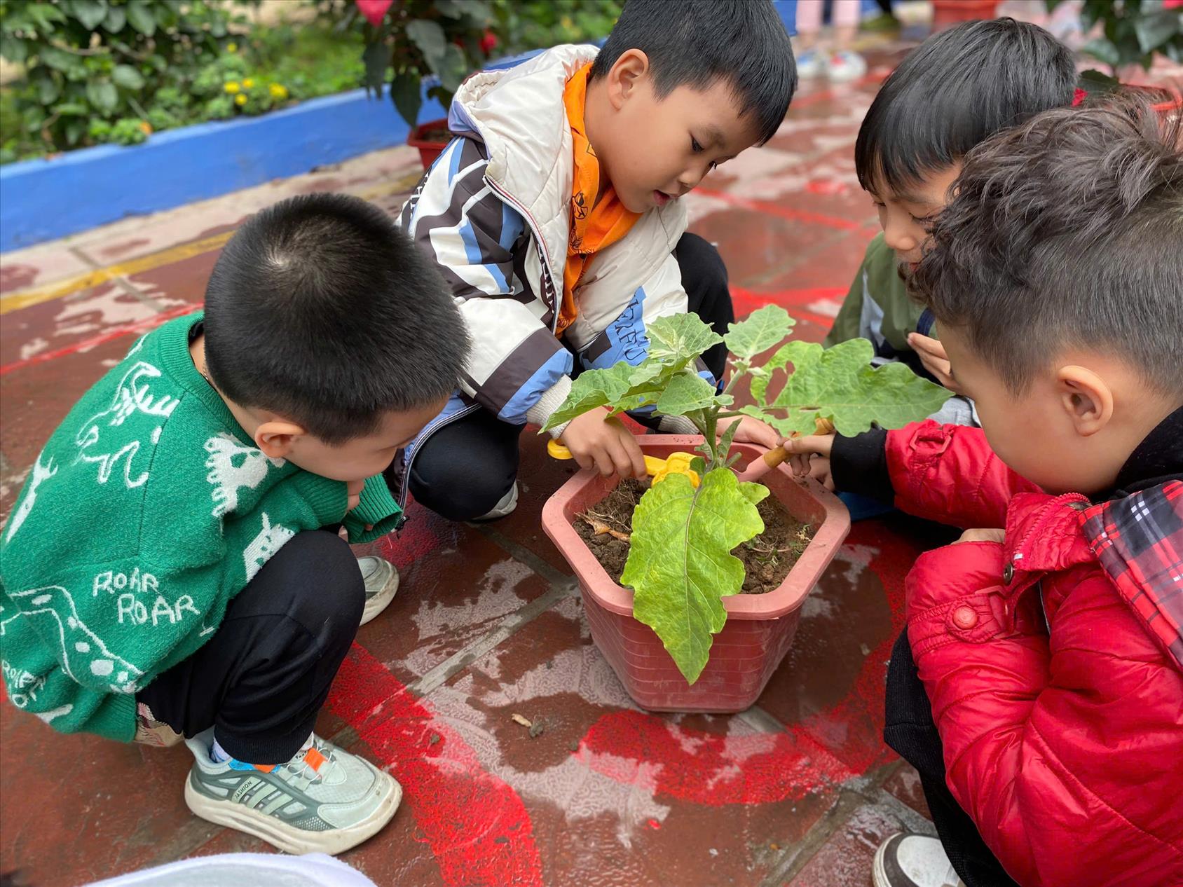 Các bạn nhỏ lớp mẫu giáo lớn  A1 trường mầm non Tuổi Hoa hưởng ứng phong trào "Tết trồng cây - Đời đời nhớ ơn Bác Hồ"
