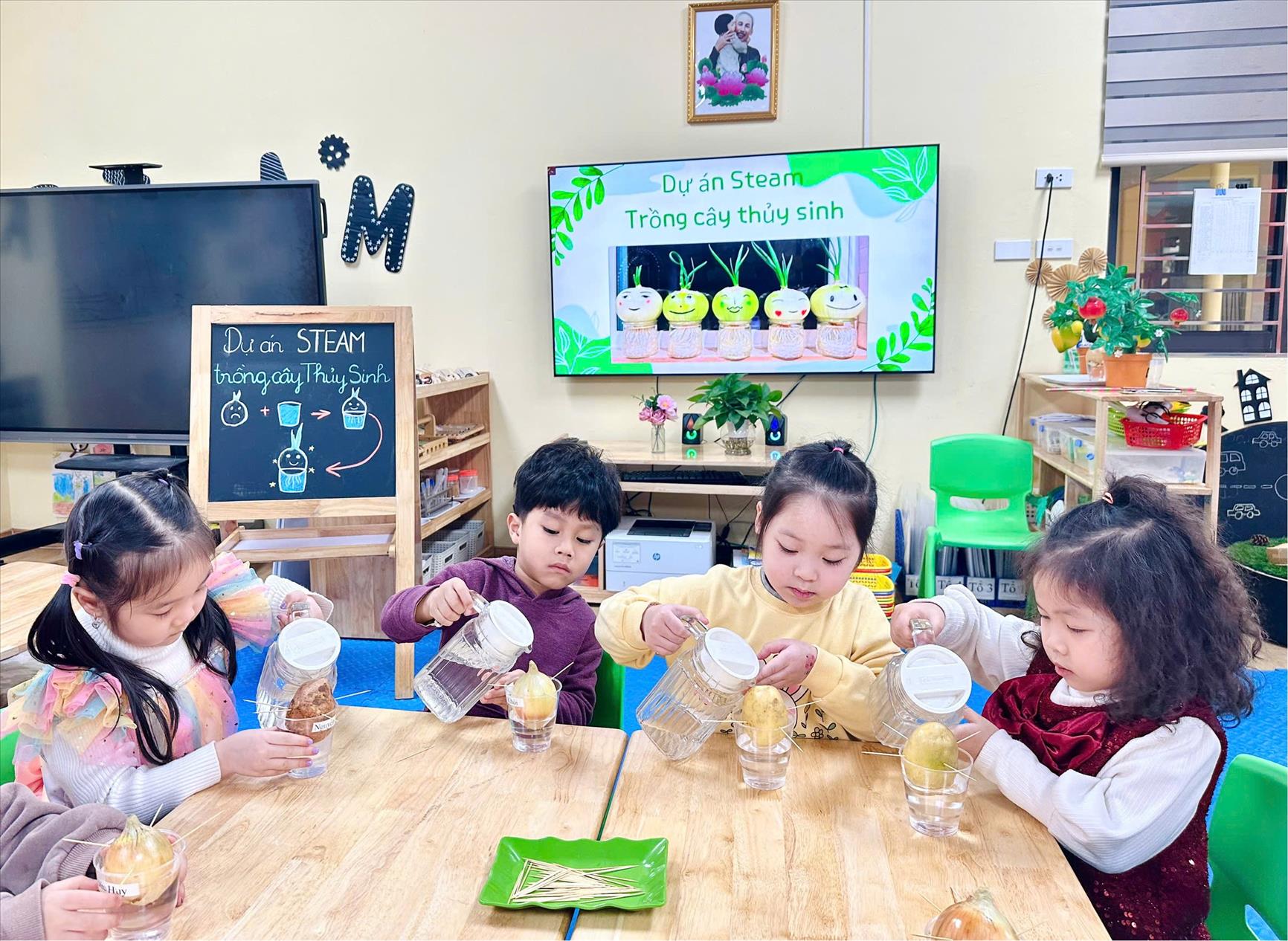 Hoạt động "Trồng cây thủy sinh" của các bé lớp MGN B1
