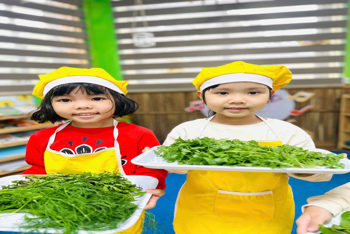 C:\Users\THANH GIONG\Desktop\33.jpg