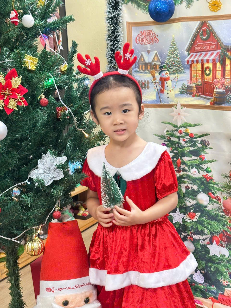 A child in a red dress holding a small tree

Description automatically generated