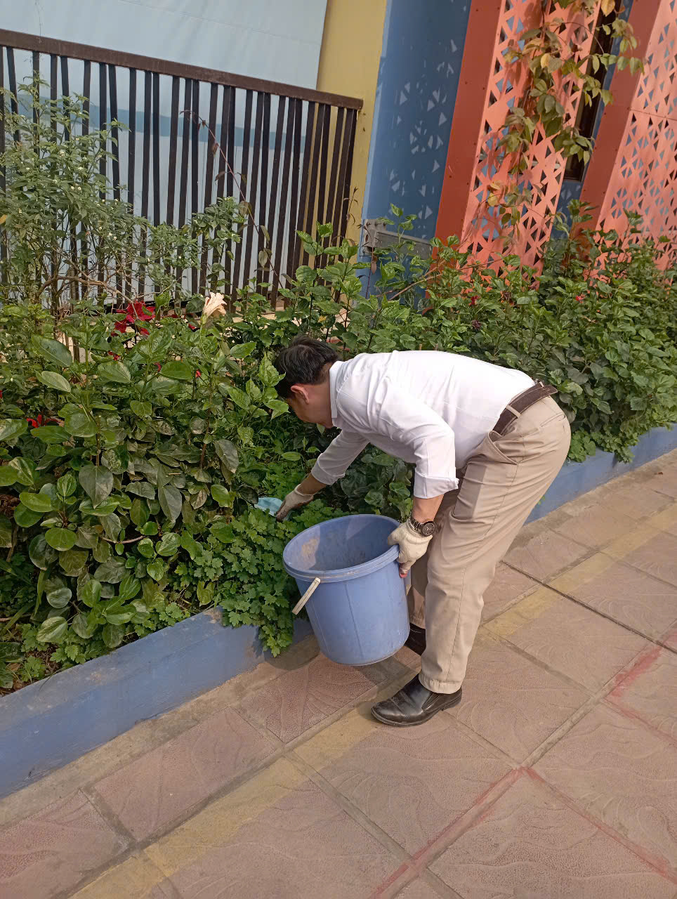 C:\Users\THANH GIONG\Desktop\Nuôi 24-25\ảnh tổng vệ sinh toàn trường\BV\z6469838398289_7cebaa262c3416eca6dfbee38b071503.jpg