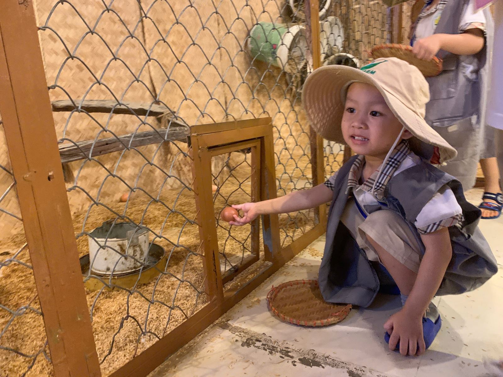 Các bạn gà ơi đẻ nhiều trứng cho bác nông dân nhé!!!