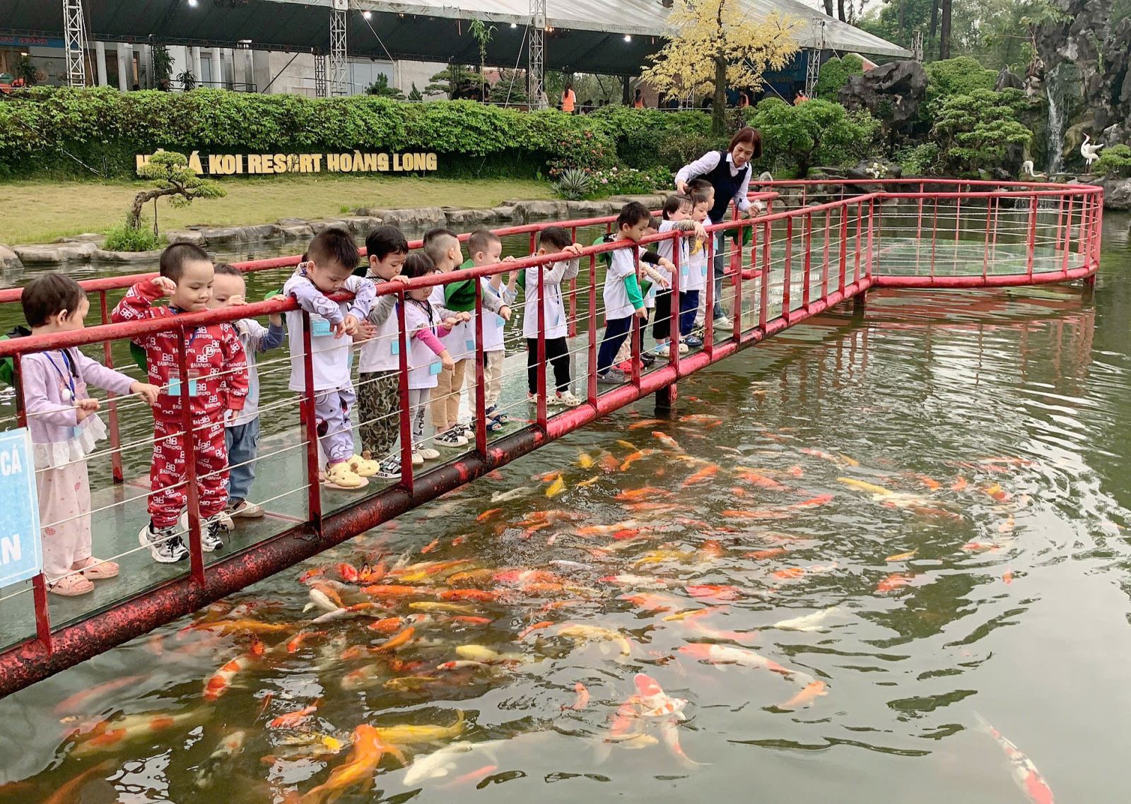 Khu trải nghiệm đón các bé lớp C3 bằng một đàn cá nhiều màu sắc sặc sỡ ...