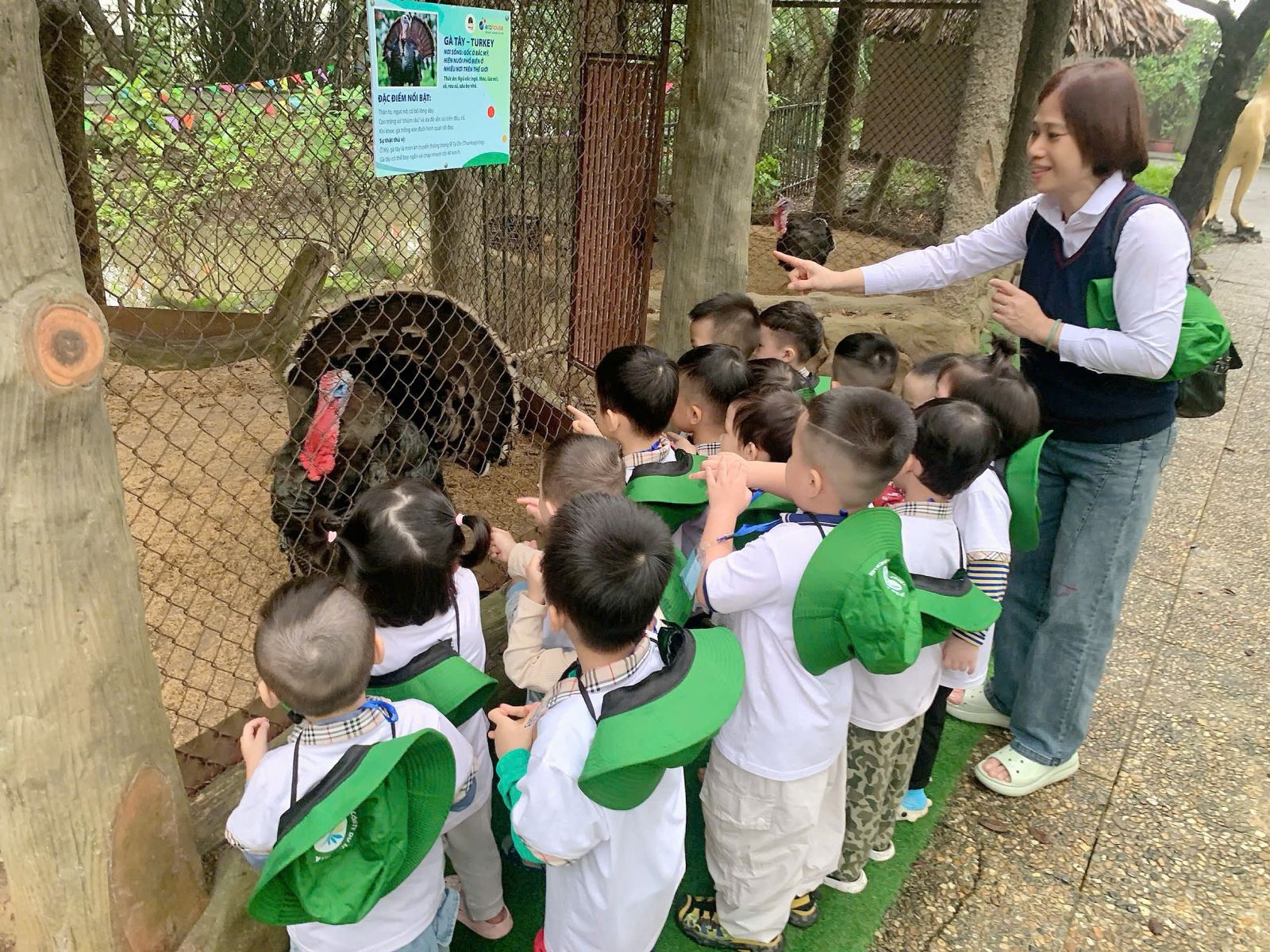 Các bé đi thăm các bạn động vật ngộ nghĩnh !!!